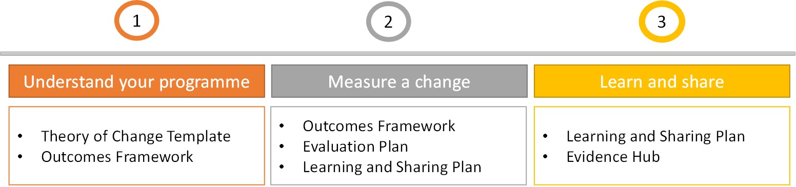 The Financial Capability Evaluation Toolkit image